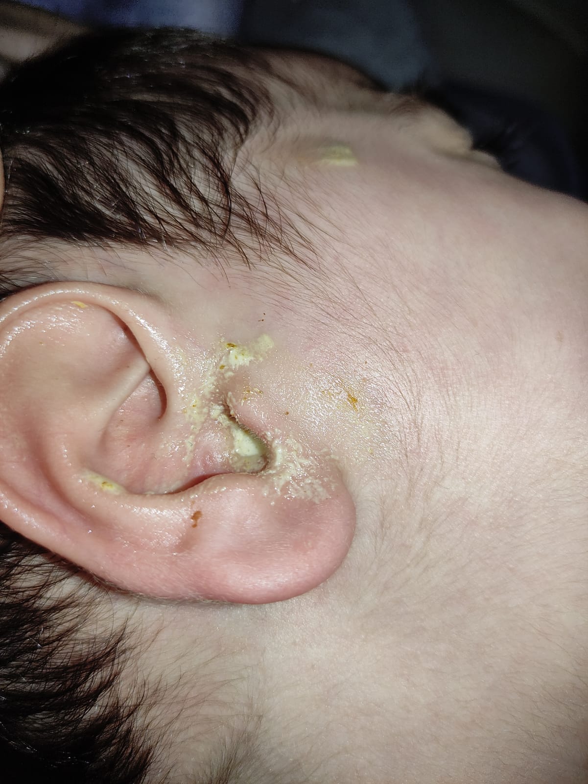 Familia Haneen 02